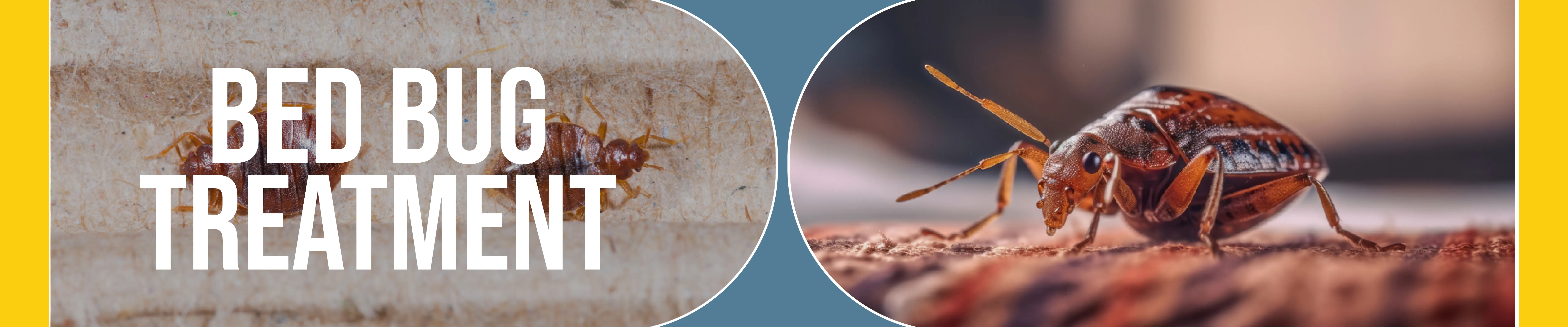 carpet cleaning in bronx, carpet cleaning bronx, carpet cleaners in bronx, carpet cleaners in bronx, commercial carpet cleaning, commercial carpet cleaning in bronx, bronx rug cleaners, rug cleaning services in bronx, same day carpet cleaning, same day rug cleaning in bronx