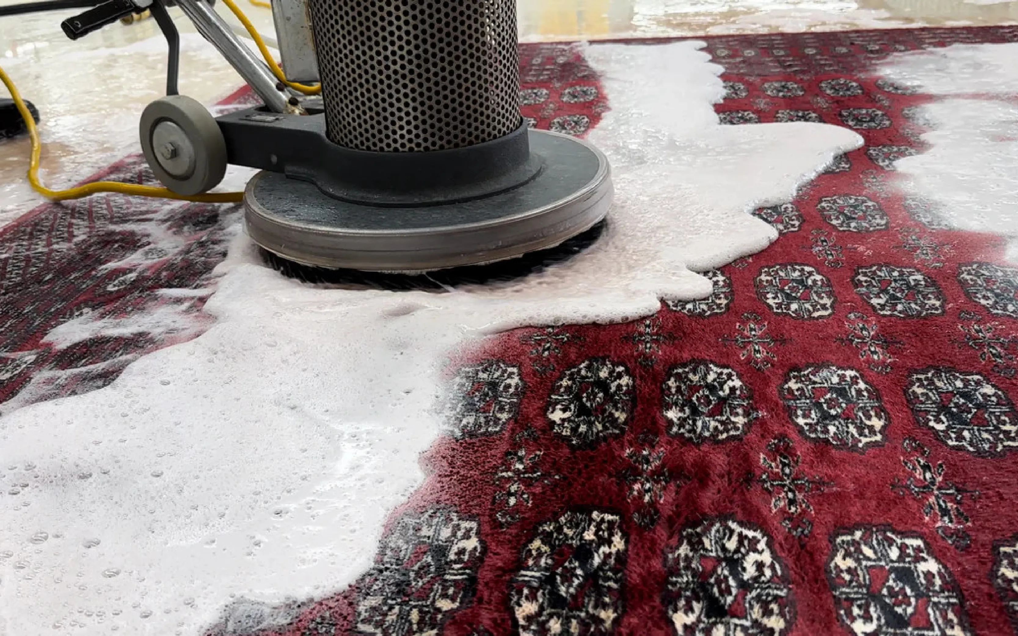 carpet cleaning in bronx, carpet cleaning bronx, carpet cleaners in bronx, carpet cleaners in bronx, commercial carpet cleaning, commercial carpet cleaning in bronx, bronx rug cleaners, rug cleaning services in bronx, same day carpet cleaning, same day rug cleaning in bronx